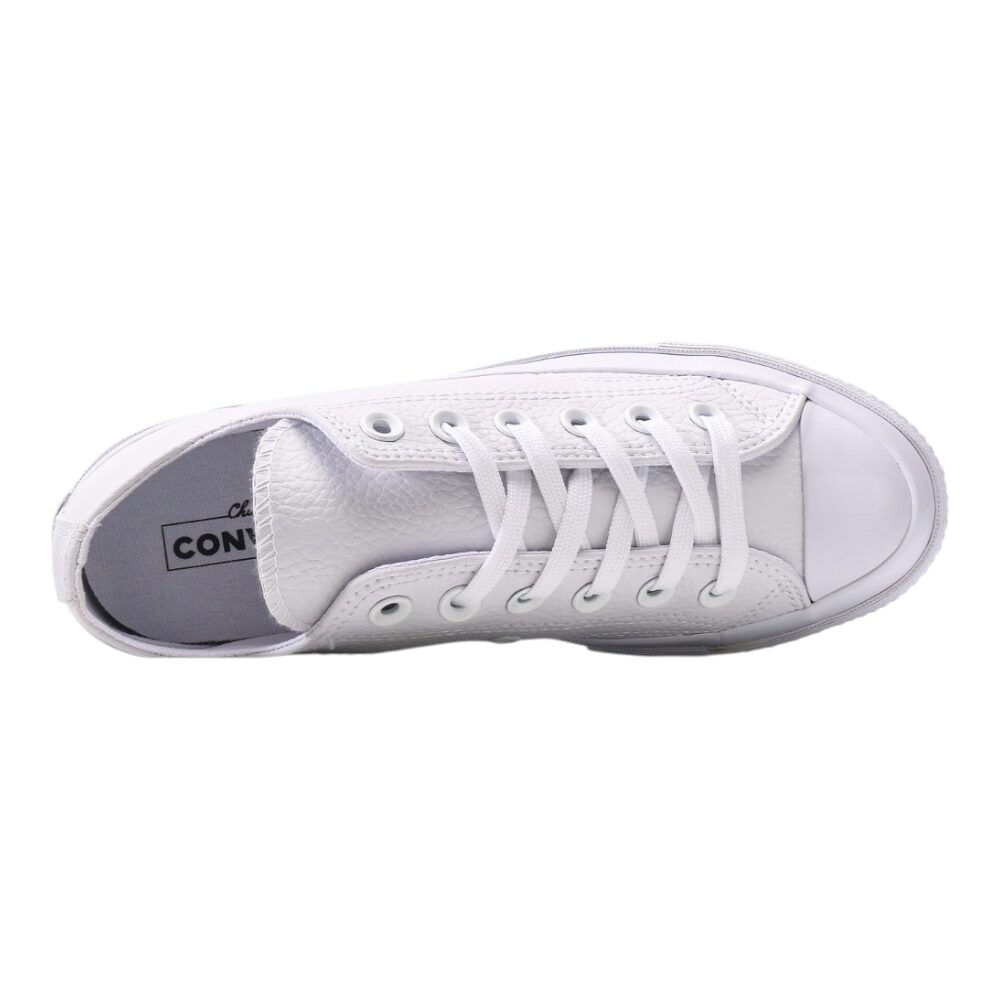 נעלי קונברס-Converse CAT WHITE – תמונה 9